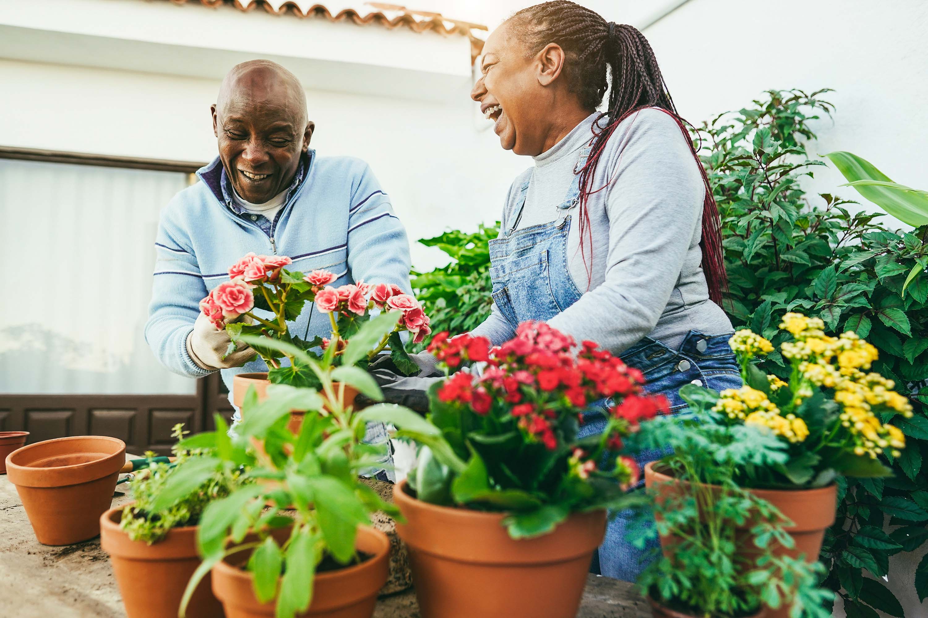 Couple gardening together